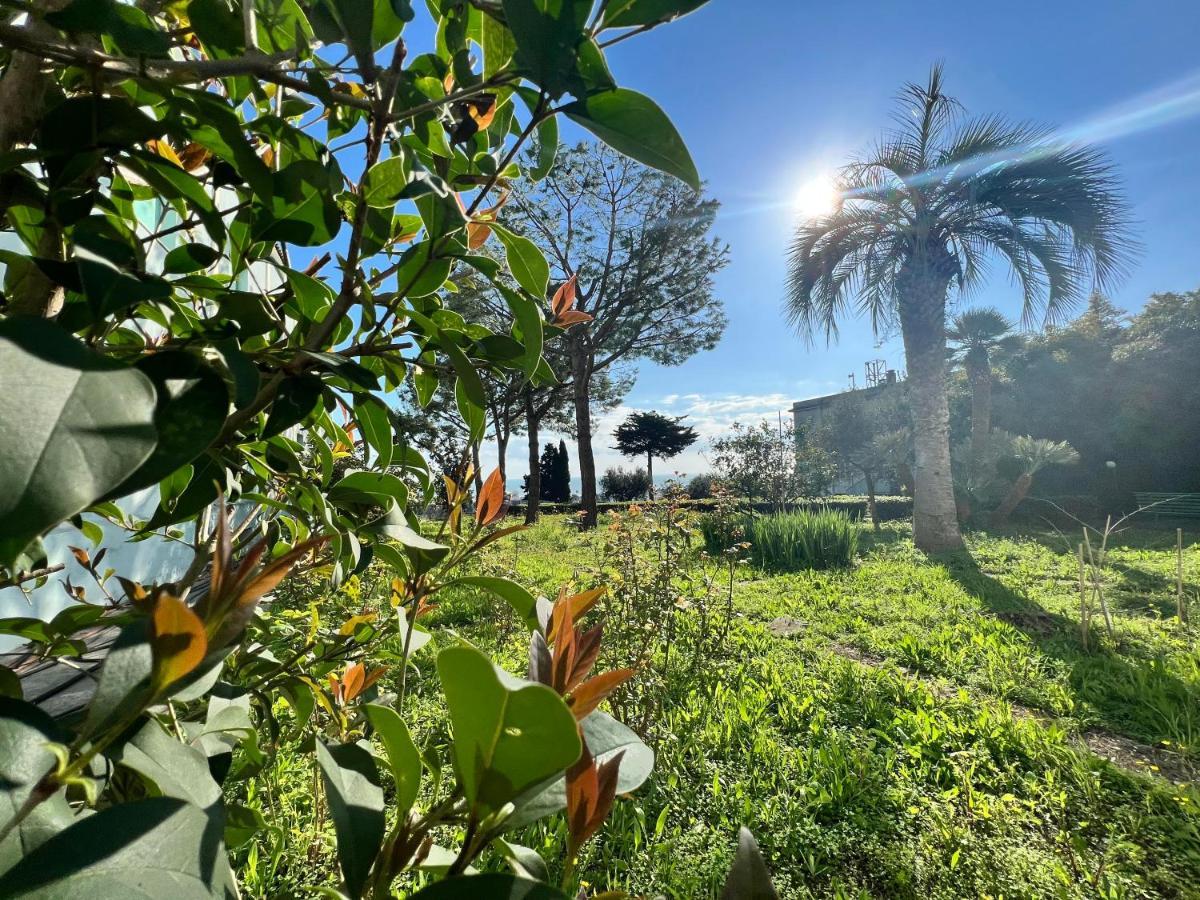 E Private Prima Luce Foresteria Giulianova